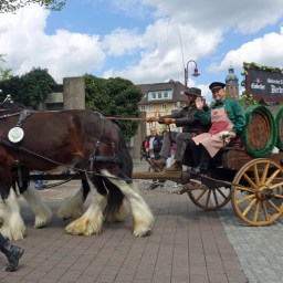 Nach zwei Jahren Pause: Hoffest diesmal im Sommer