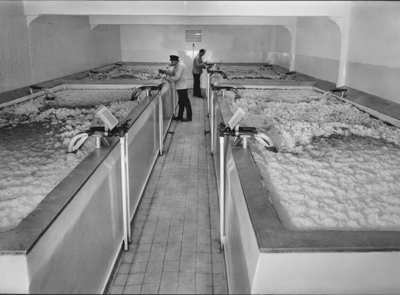 (c) Archiv Einbecker Brauhaus AG