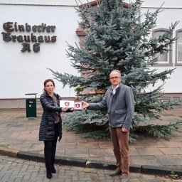 Unter dem Baum für Bäume spenden