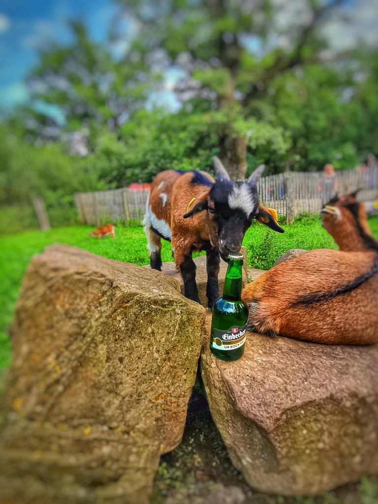 Foto: André Bischoff